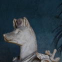63-Egyptian dog at vatican